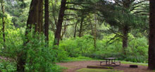 Beverly Beach State Park