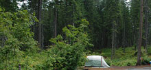 Lake Wenatchee State Park