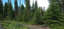 Lake Wenatchee State Park