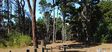 MacKerricher State Park