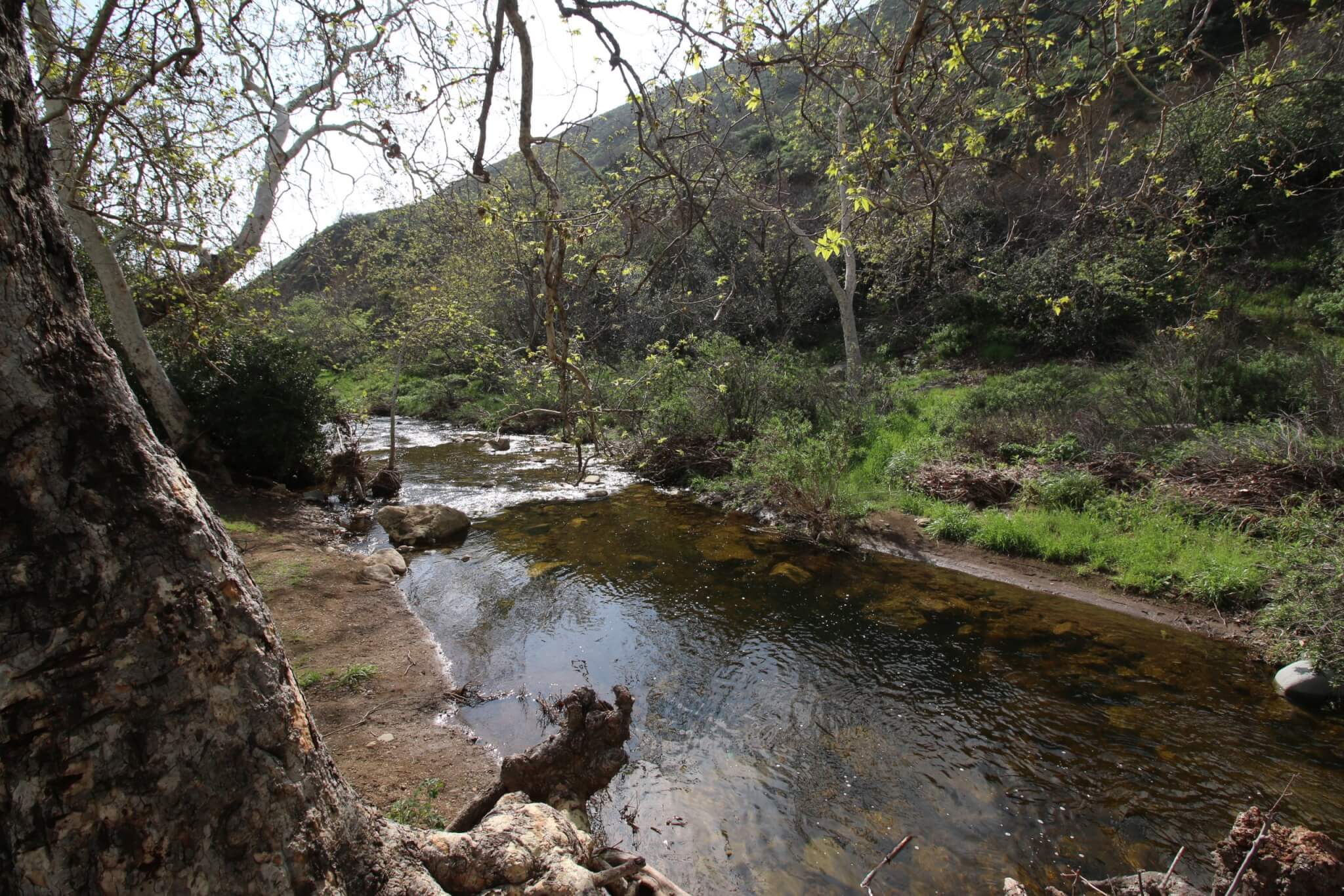 10 Popular California Beach Campgrounds - Leo Carrillo Creek View