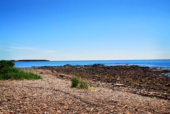 Seawall-Beach