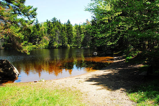 Woodford-Campers-Beach